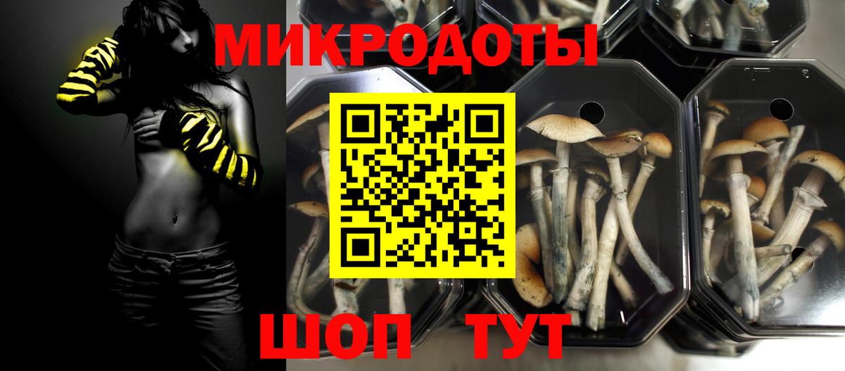 Псилоцибиновые грибы Psilocybine cubensis  Вход с VPN  Галлюциногенные грибы прущие грибы  Урай 